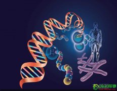 �������������20������ʵ(��ͼ)